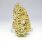 White Castle Hybrid Cannabis